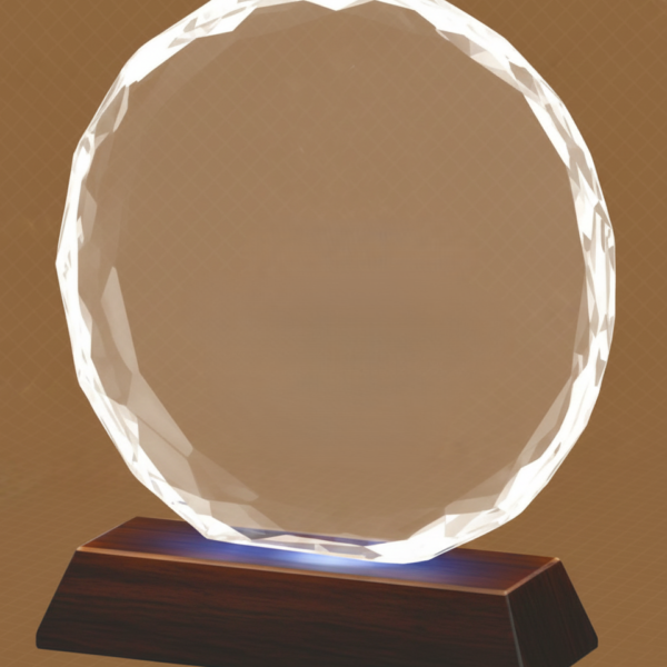 The Rising Star Award