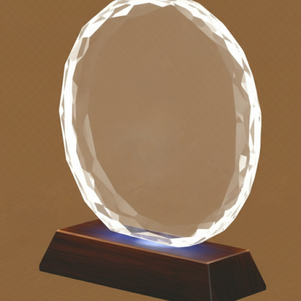 The Starward Bound Award